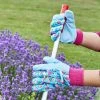 Briers Gardening Gloves With Dotty Grips -Home - Tools - Gloves Briers Dotty gardeninggloves 1