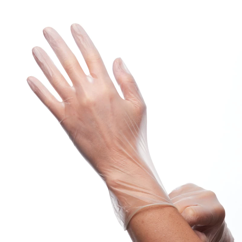 Shield GD10 Powder-Free Vinyl Disposable Gloves 5 Shield GD10 Powder-Free Vinyl Disposable Gloves - Image 3