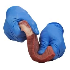 Grippaz Blue Semi-Disposable Nitrile Food Safety Gloves (Pack Of 24 Pairs) -Home - Tools - Gloves safetygloves grippaz blue5B15D